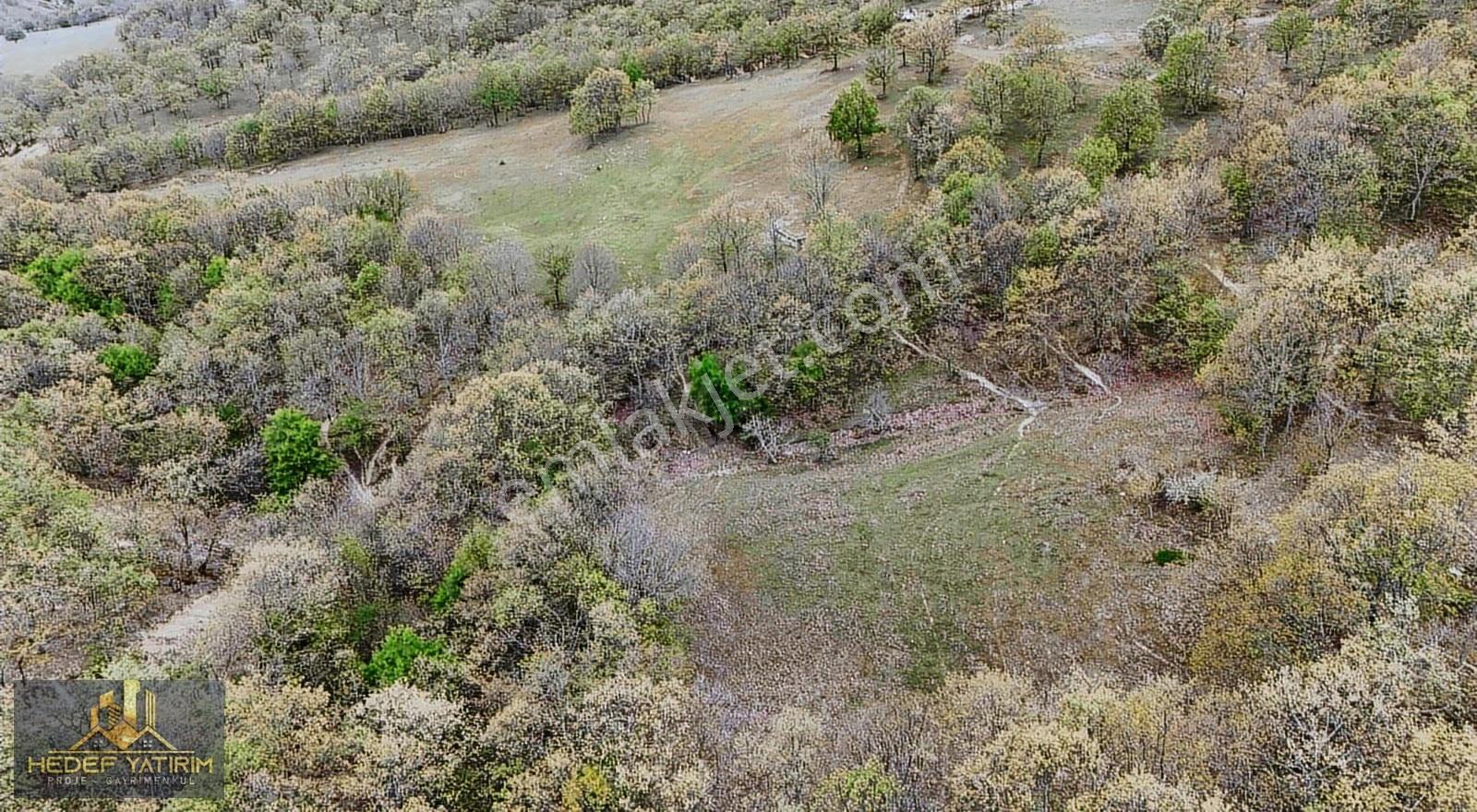 İşte Yatırım Fırsatı Su-yol Var Tektapu Arazi [ 2.061 M2 ] - Görsel 10