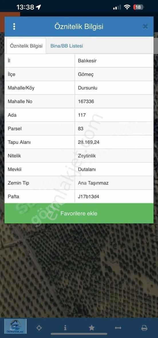 Dursunlu Köyünde Yola Cepheli Bakımlı Zeytinlik - Görsel 2