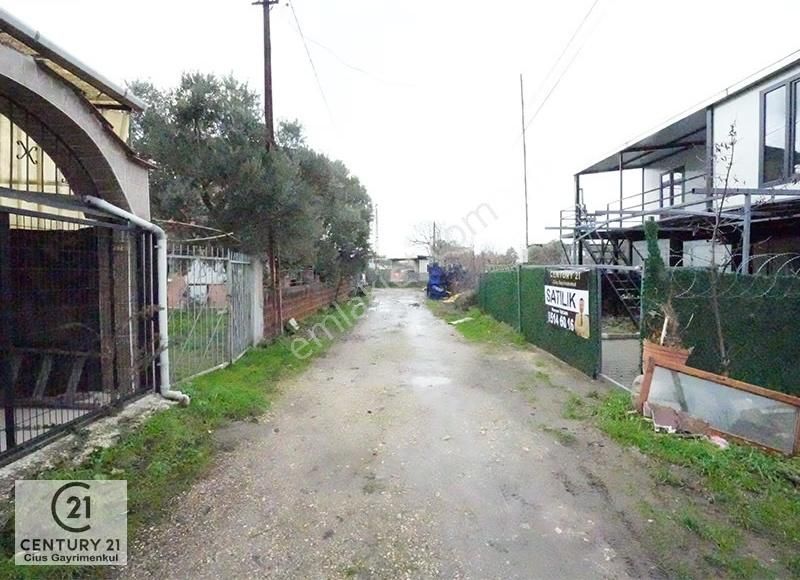 C21 Cius; Kumsazda Bahçeli Teraslı Yazlık Prefabrik Ev - Görsel 6