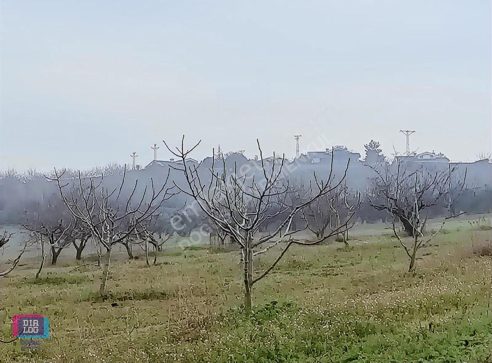 Dialog Doğuş Satılık Tek Tapu Arazi Akçalar Da
