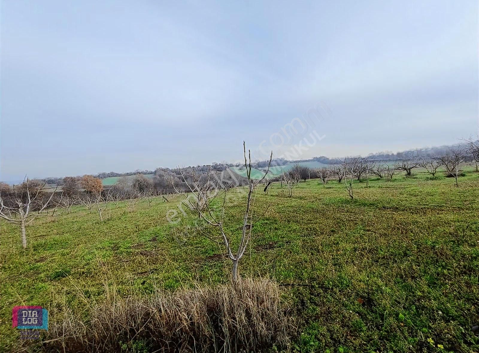 Dialog Doğuş Satılık Tek Tapu Arazi Akçalar Da - Görsel 11