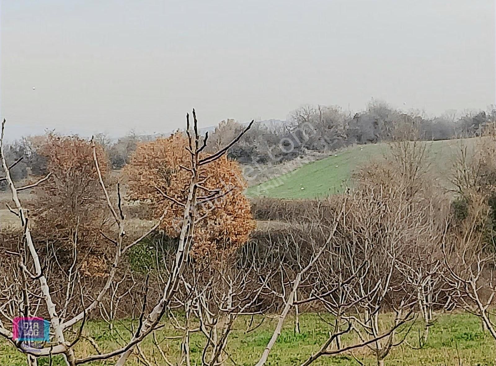 Dialog Doğuş Satılık Tek Tapu Arazi Akçalar Da - Görsel 6