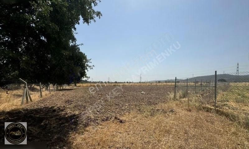 Aliağa Helvacı Barbaros Hayrettin Paşa Mah. Tek Tapu Tarla - Görsel 3