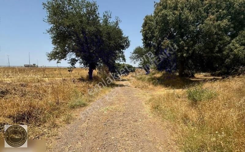 Aliağa Helvacı Barbaros Hayrettin Paşa Mah. Tek Tapu Tarla