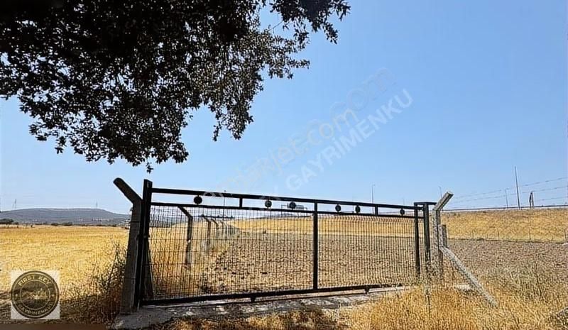 Aliağa Helvacı Barbaros Hayrettin Paşa Mah. Tek Tapu Tarla - Görsel 2