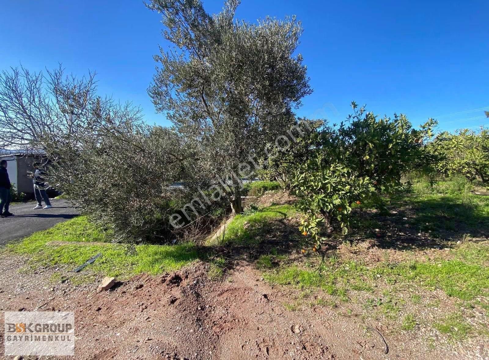 Bsk Group'dan Deniz Manzaralı Uygun Fiyata Tarla..! - Görsel 5