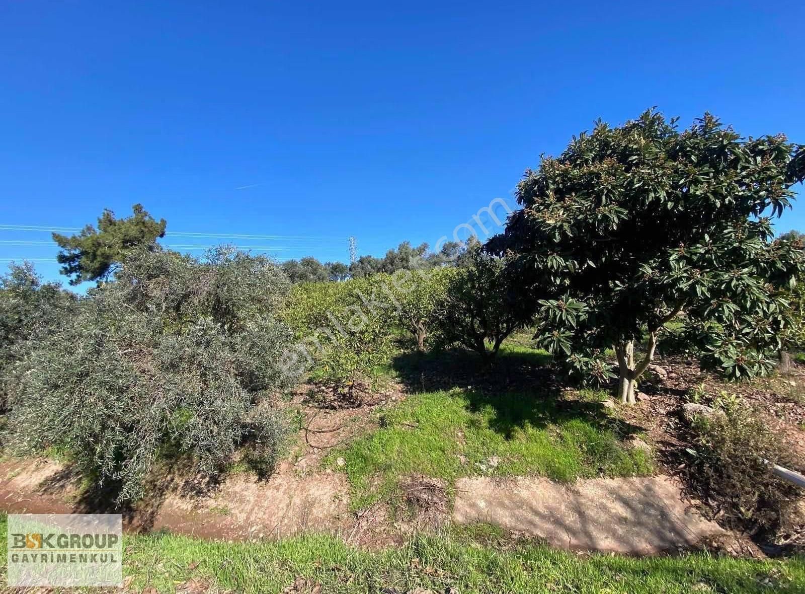 Bsk Group'dan Deniz Manzaralı Uygun Fiyata Tarla..! - Görsel 3