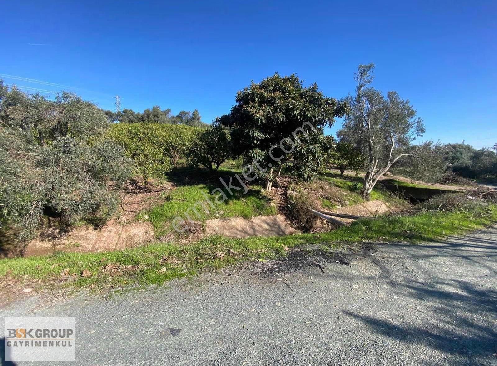 Bsk Group'dan Deniz Manzaralı Uygun Fiyata Tarla..! - Görsel 14