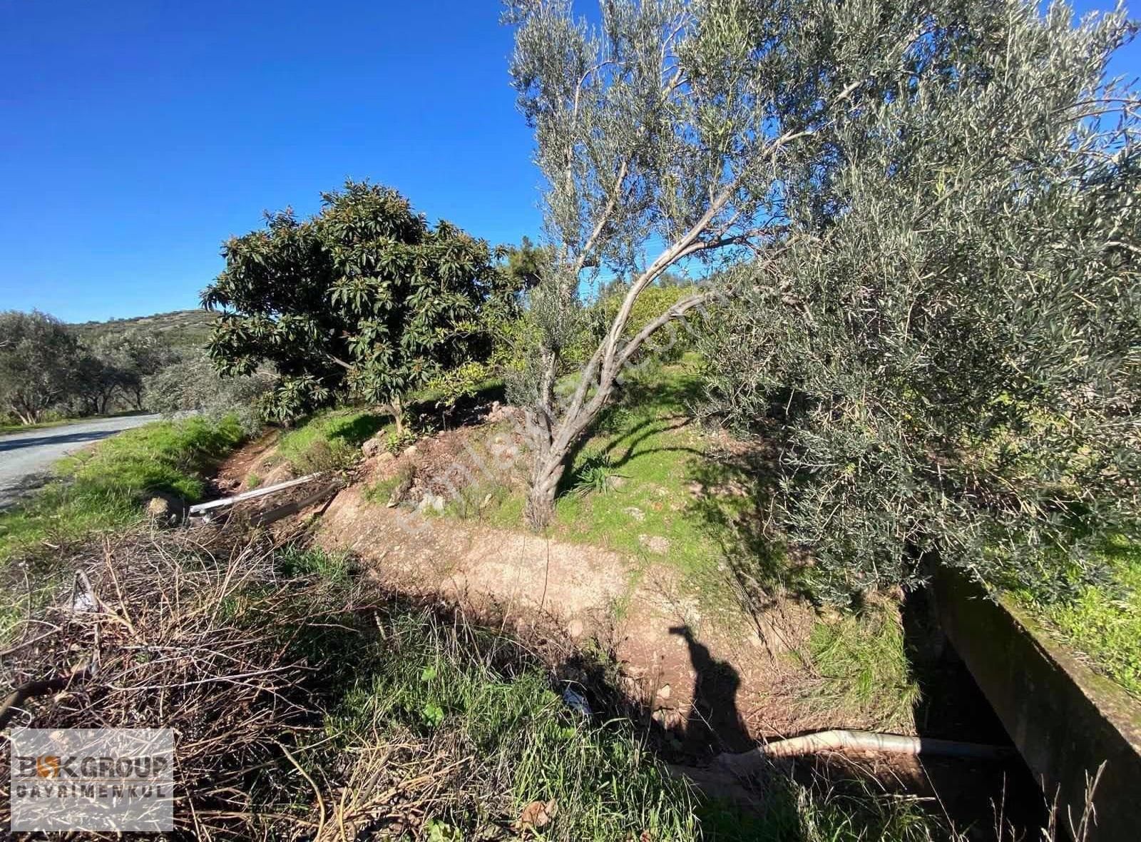 Bsk Group'dan Deniz Manzaralı Uygun Fiyata Tarla..! - Görsel 12