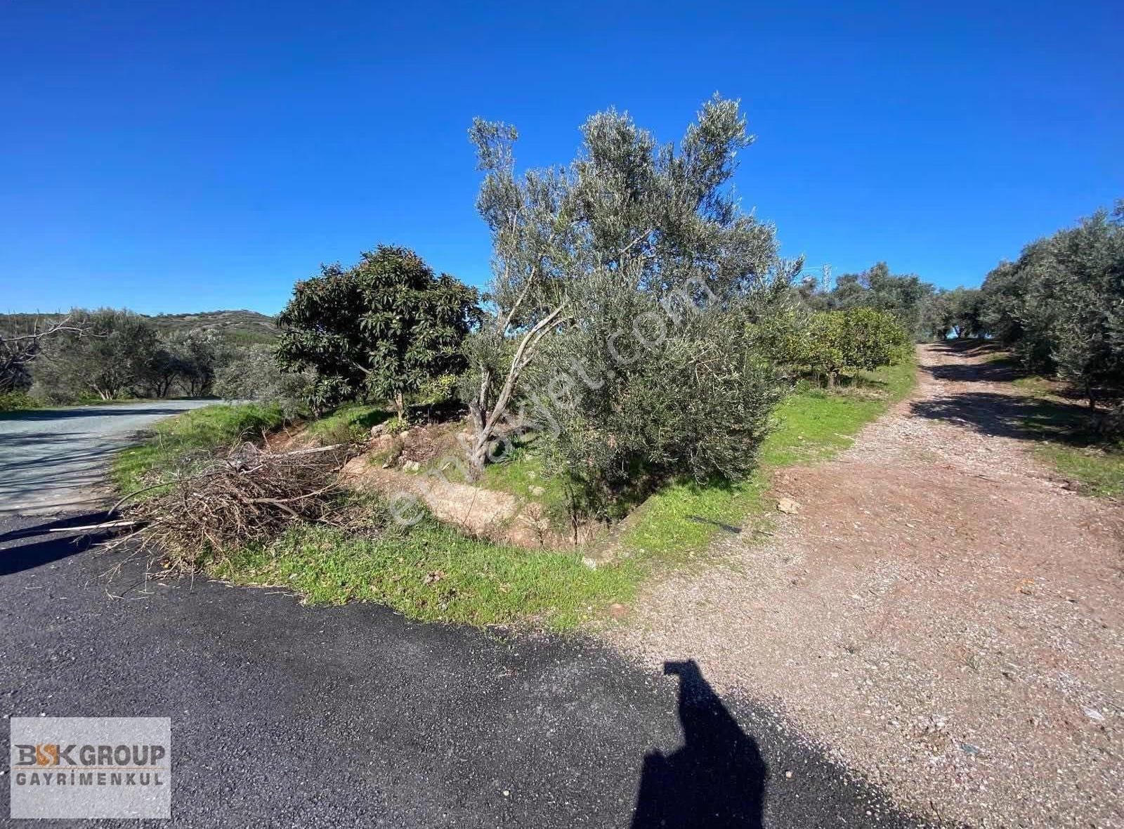 Bsk Group'dan Deniz Manzaralı Uygun Fiyata Tarla..! - Görsel 4