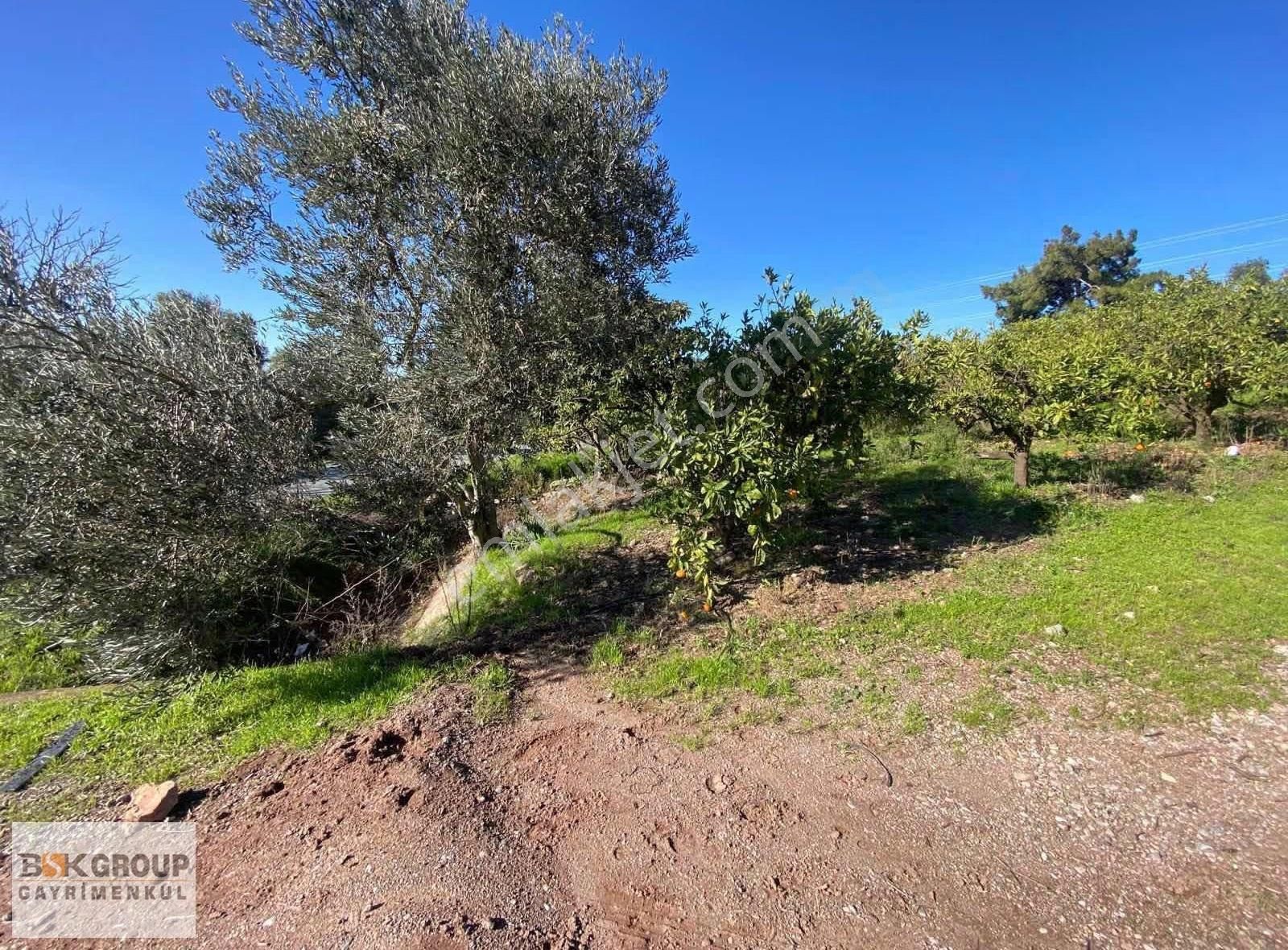 Bsk Group'dan Deniz Manzaralı Uygun Fiyata Tarla..! - Görsel 6