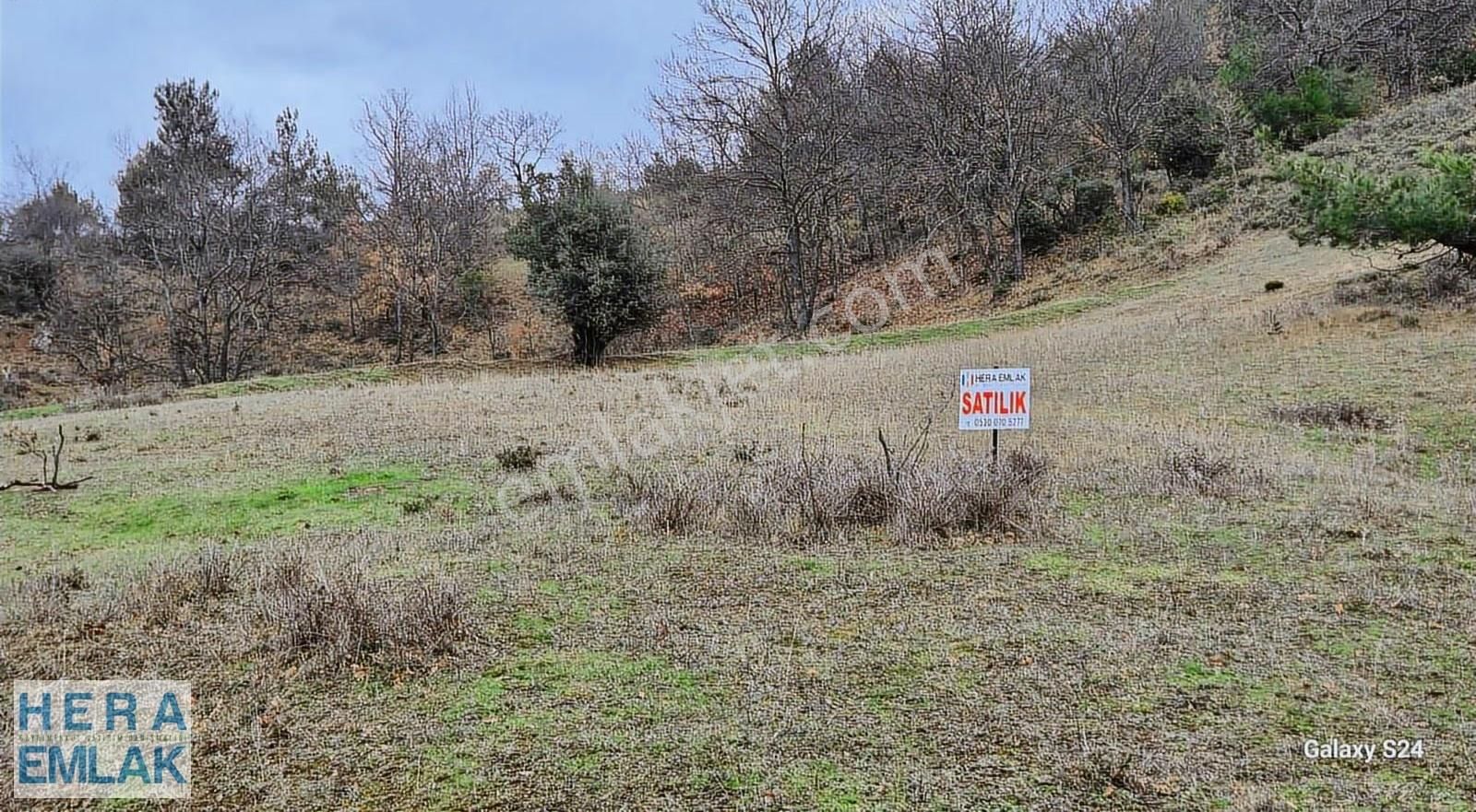 Göl Manzaralı, Yerleşime Yakın, Hobi Bahçesi - Görsel 4