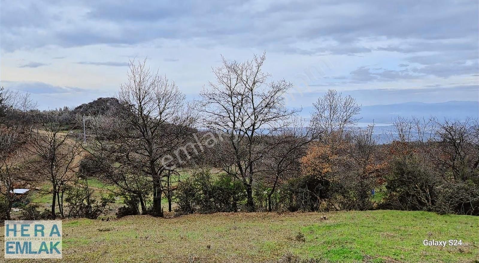 Göl Manzaralı, Yerleşime Yakın, Hobi Bahçesi - Görsel 7