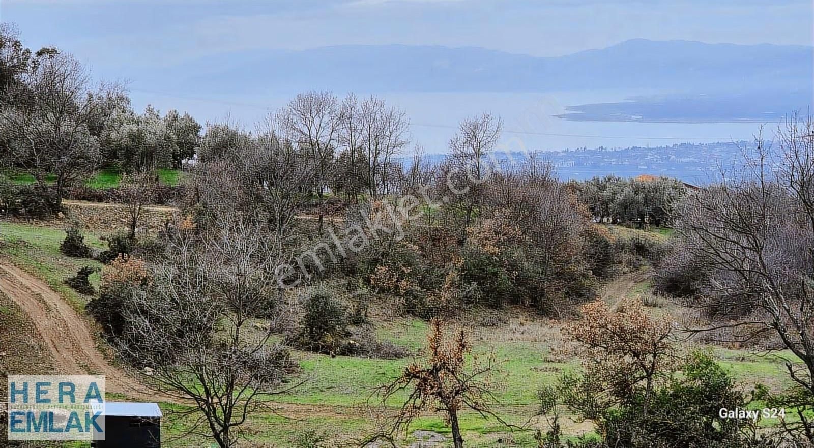 Göl Manzaralı, Yerleşime Yakın, Hobi Bahçesi - Görsel 13
