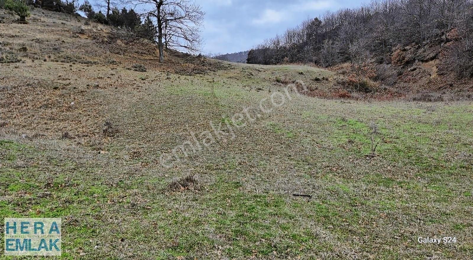 Göl Manzaralı, Yerleşime Yakın, Hobi Bahçesi - Görsel 18