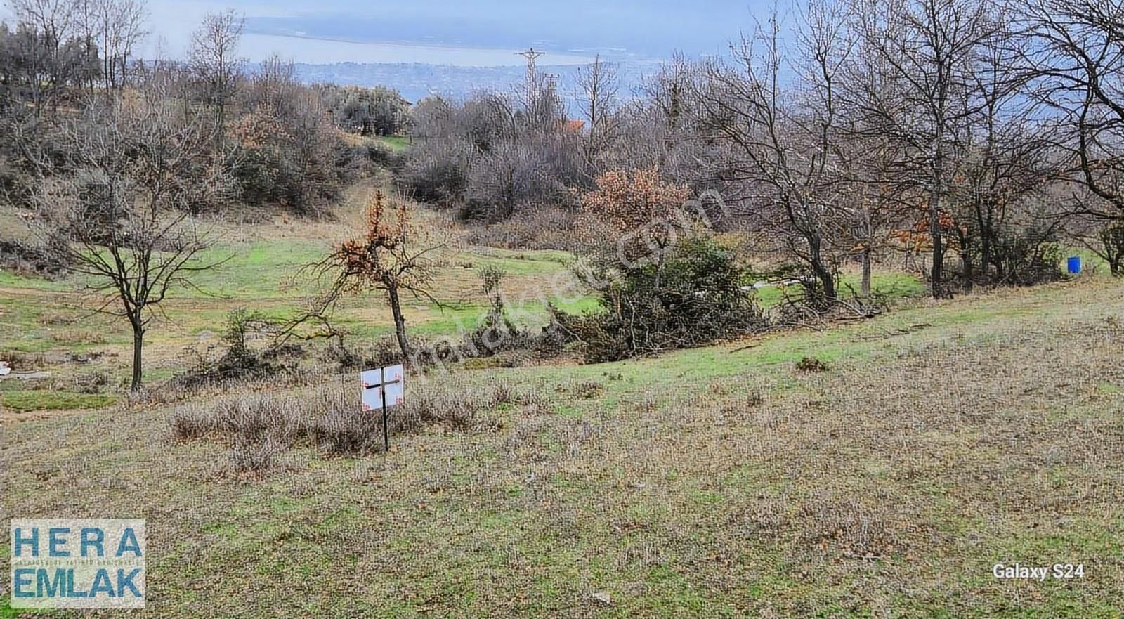 Göl Manzaralı, Yerleşime Yakın, Hobi Bahçesi - Görsel 2
