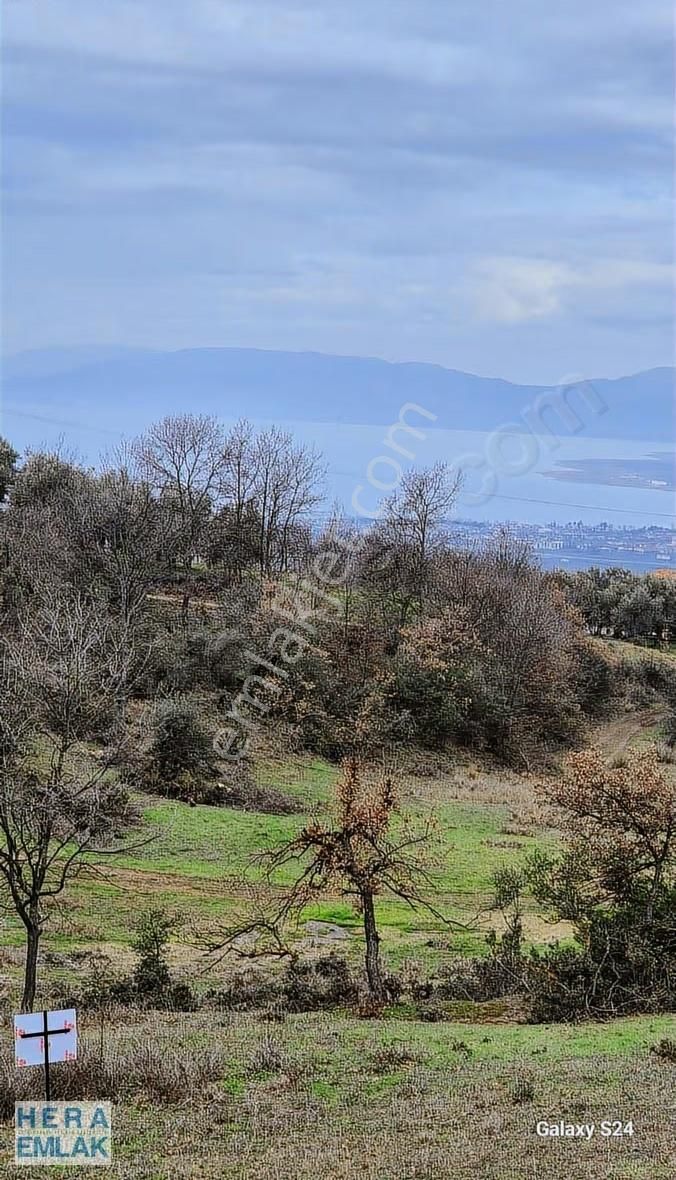 Göl Manzaralı, Yerleşime Yakın, Hobi Bahçesi - Görsel 15