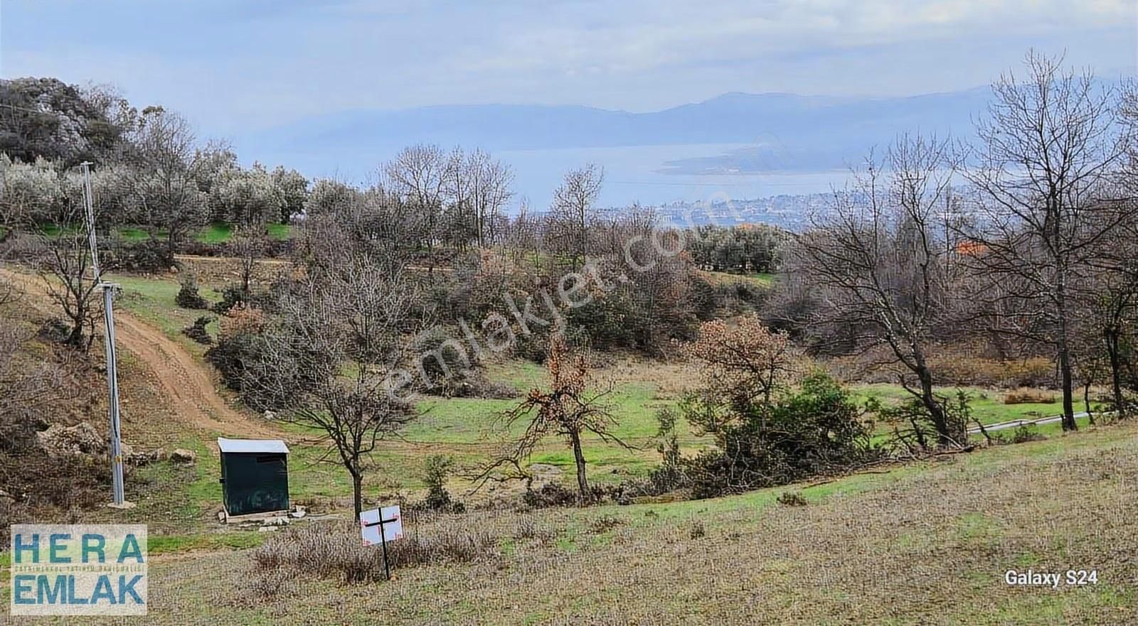 Göl Manzaralı, Yerleşime Yakın, Hobi Bahçesi - Görsel 16