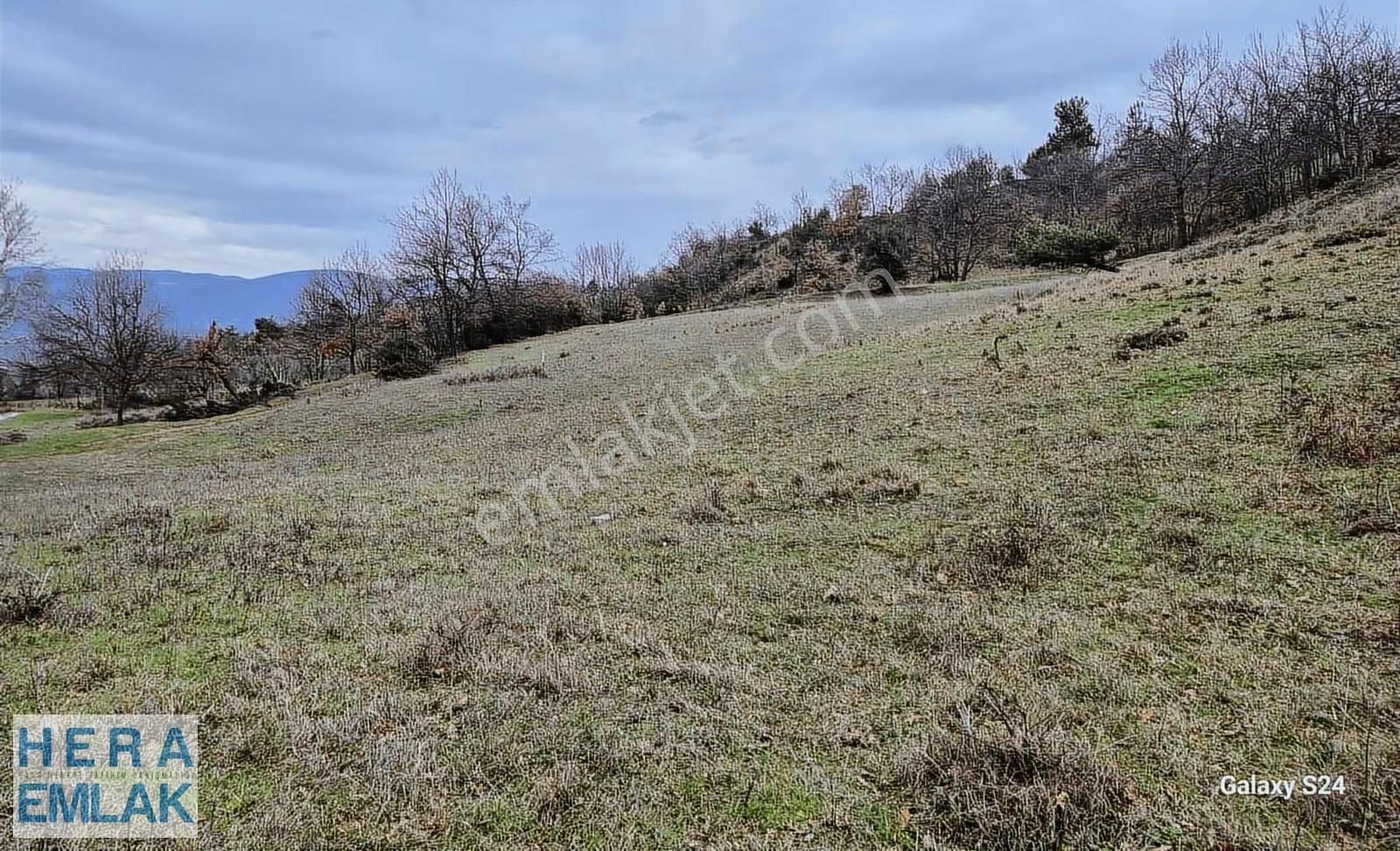 Göl Manzaralı, Yerleşime Yakın, Hobi Bahçesi - Görsel 17