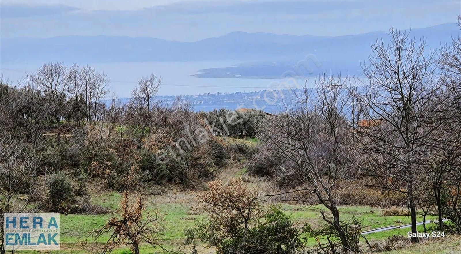 Göl Manzaralı, Yerleşime Yakın, Hobi Bahçesi - Görsel 14