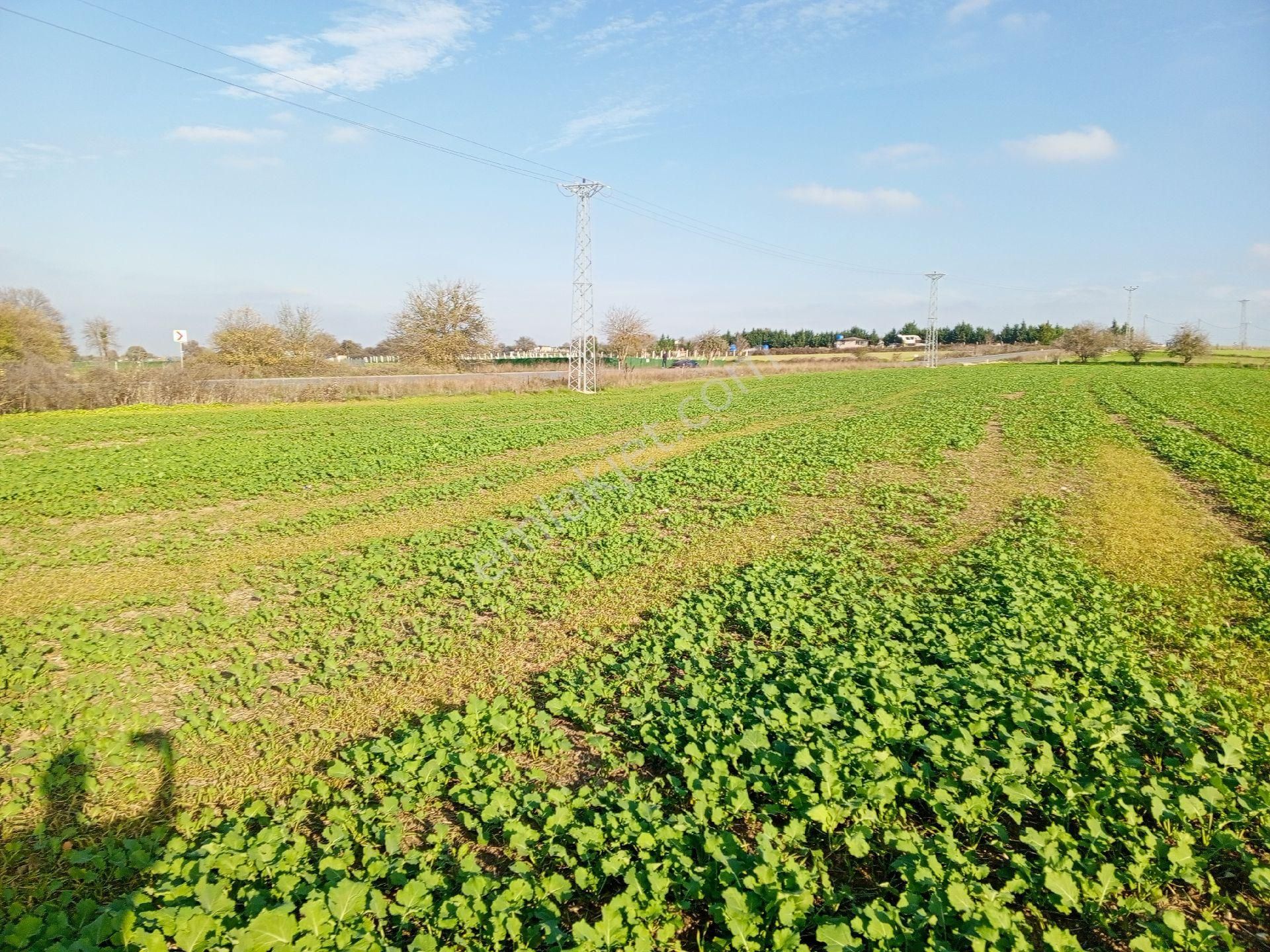 Büyükçavuşlu Da Ana Yola Cepheli Arazi - Görsel 3