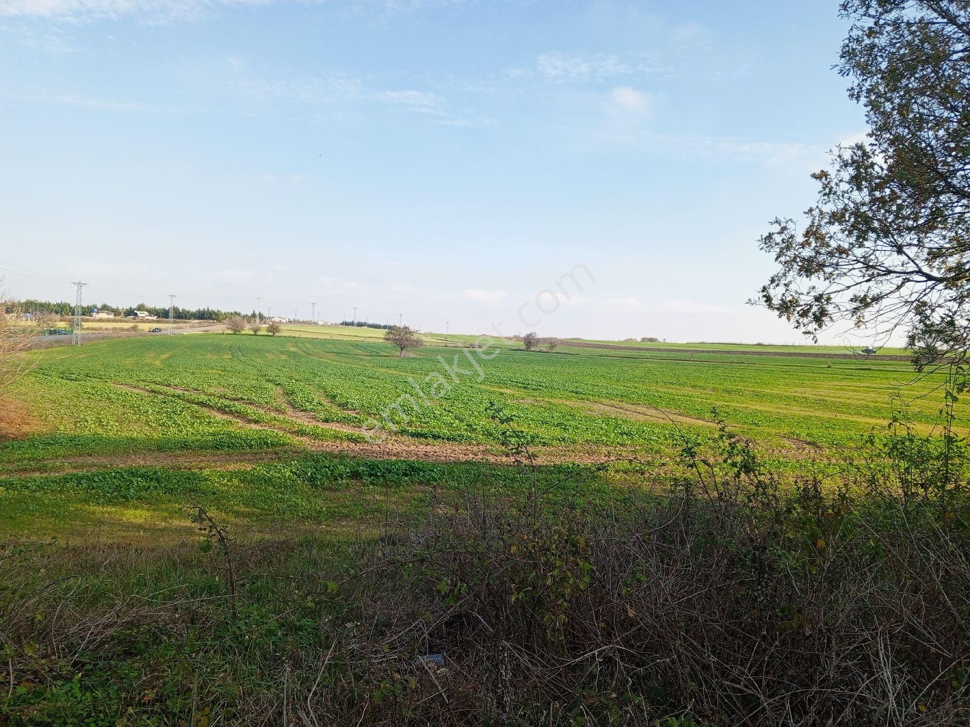 Büyükçavuşlu Da Ana Yola Cepheli Arazi - Görsel 12