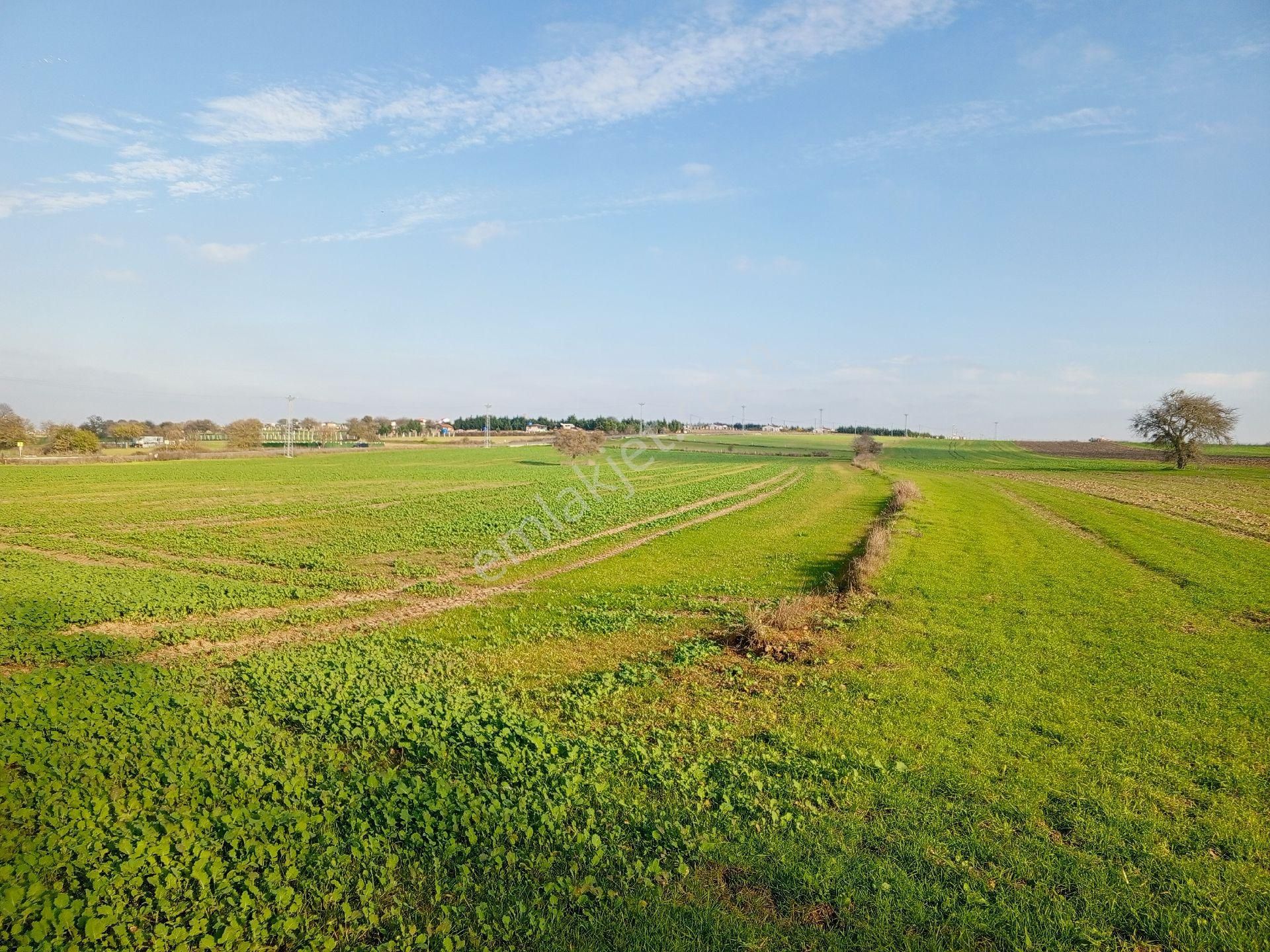 Büyükçavuşlu Da Ana Yola Cepheli Arazi - Görsel 14