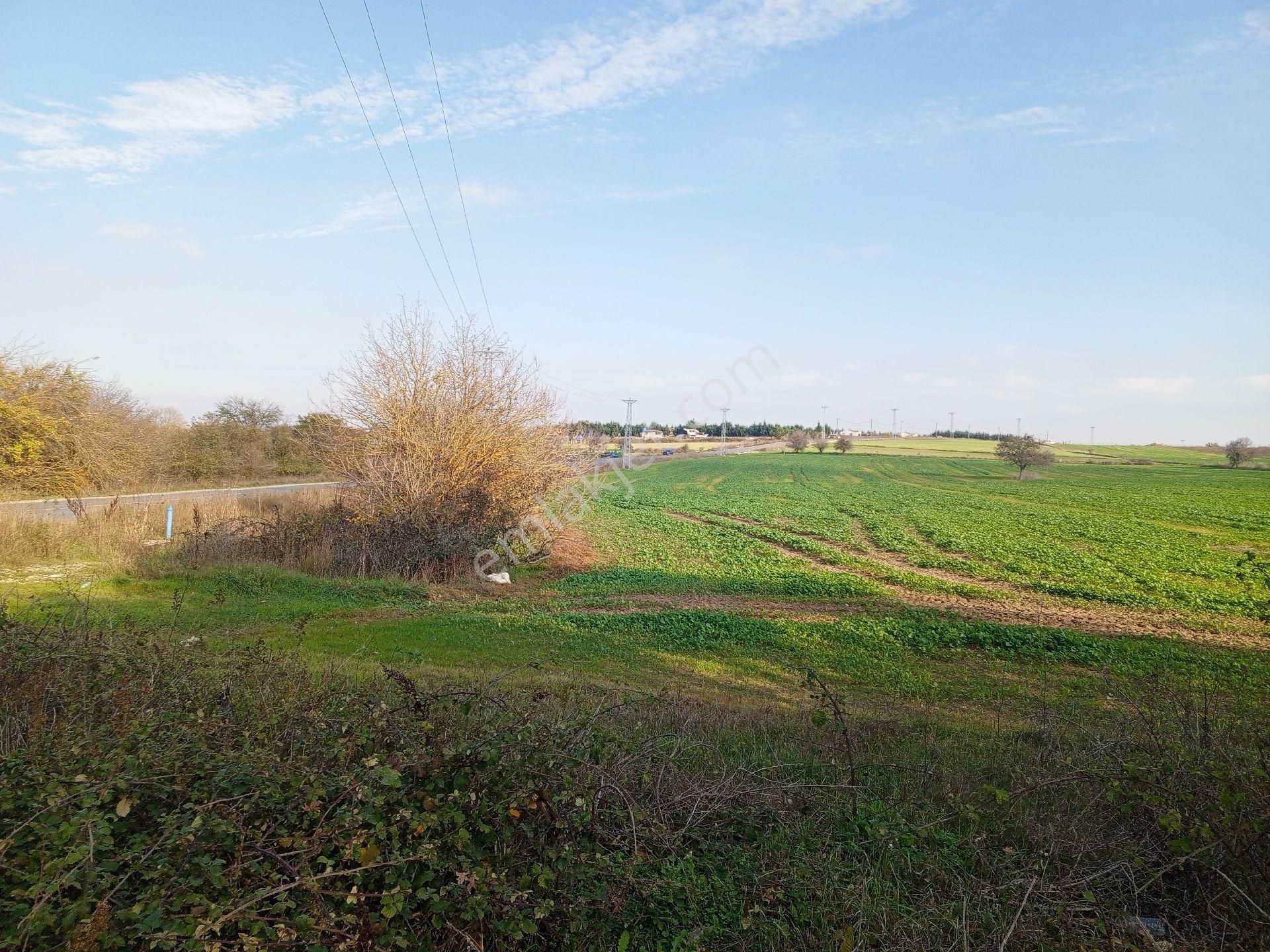 Büyükçavuşlu Da Ana Yola Cepheli Arazi - Görsel 2