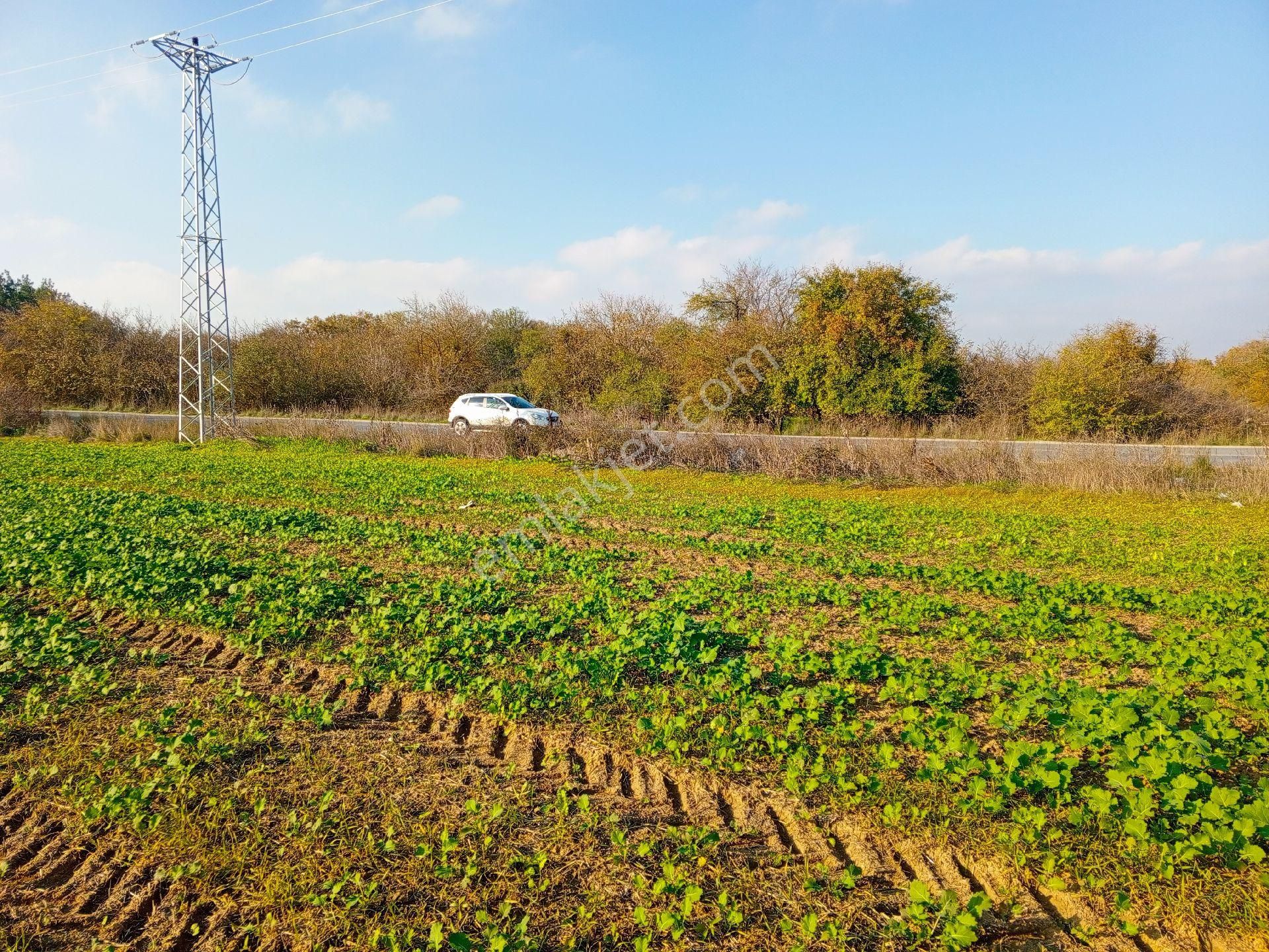 Büyükçavuşlu Da Ana Yola Cepheli Arazi - Görsel 5
