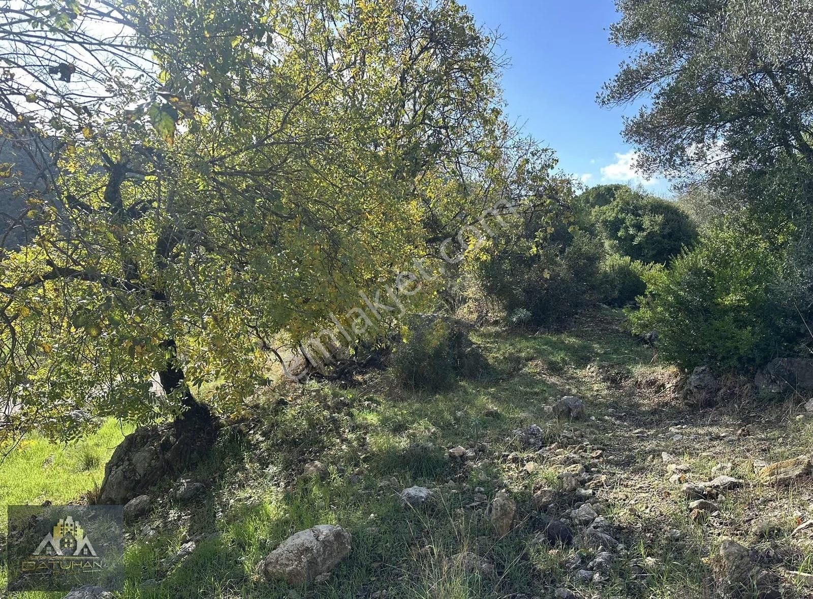 Serih Gebiz Hasdümen Mah. 2650 M2 Müstakil Tarla