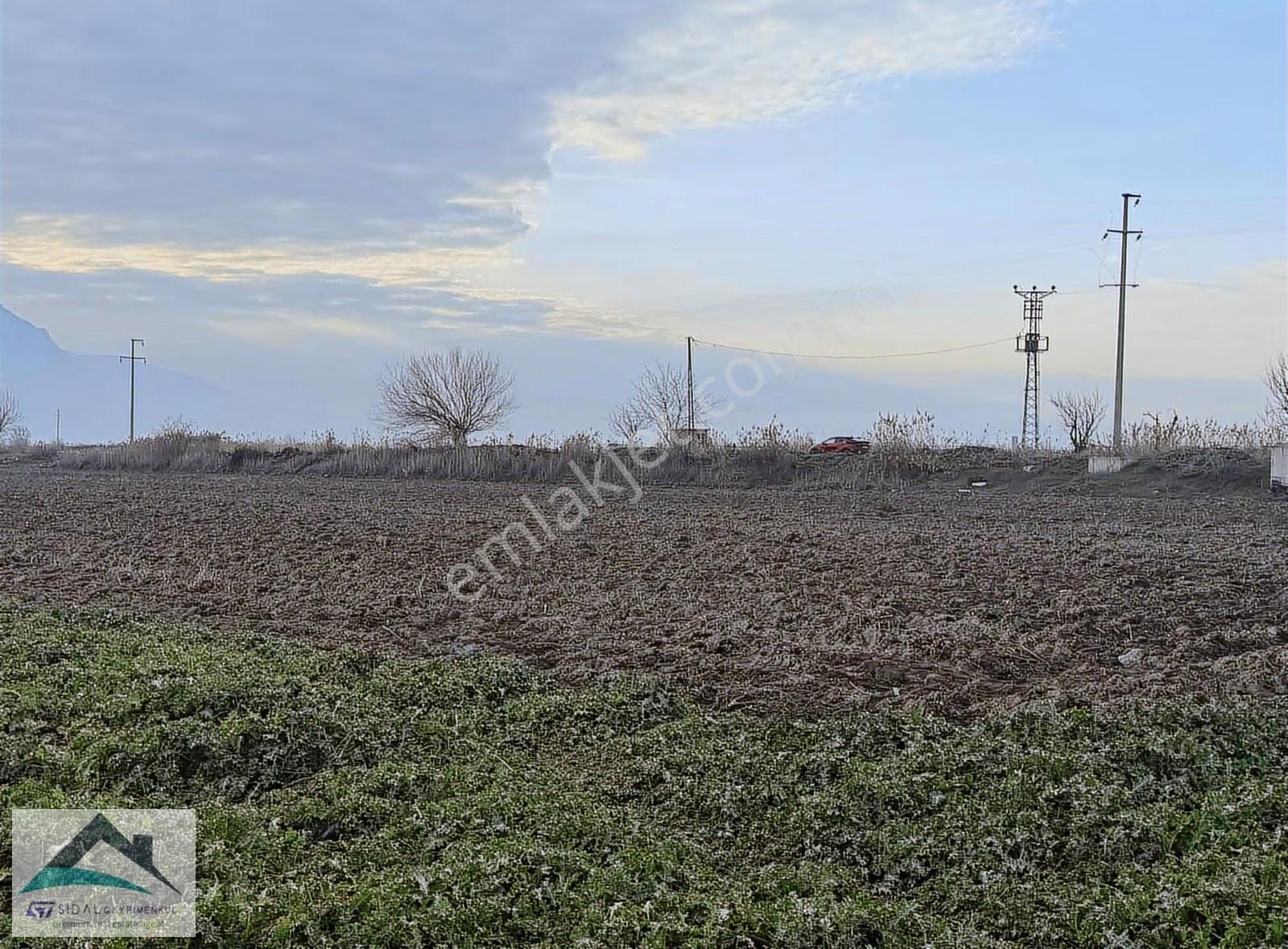 Sidal'dan Koldere Mh'de Verimli Topraklarda Satılık Tarla - Görsel 27