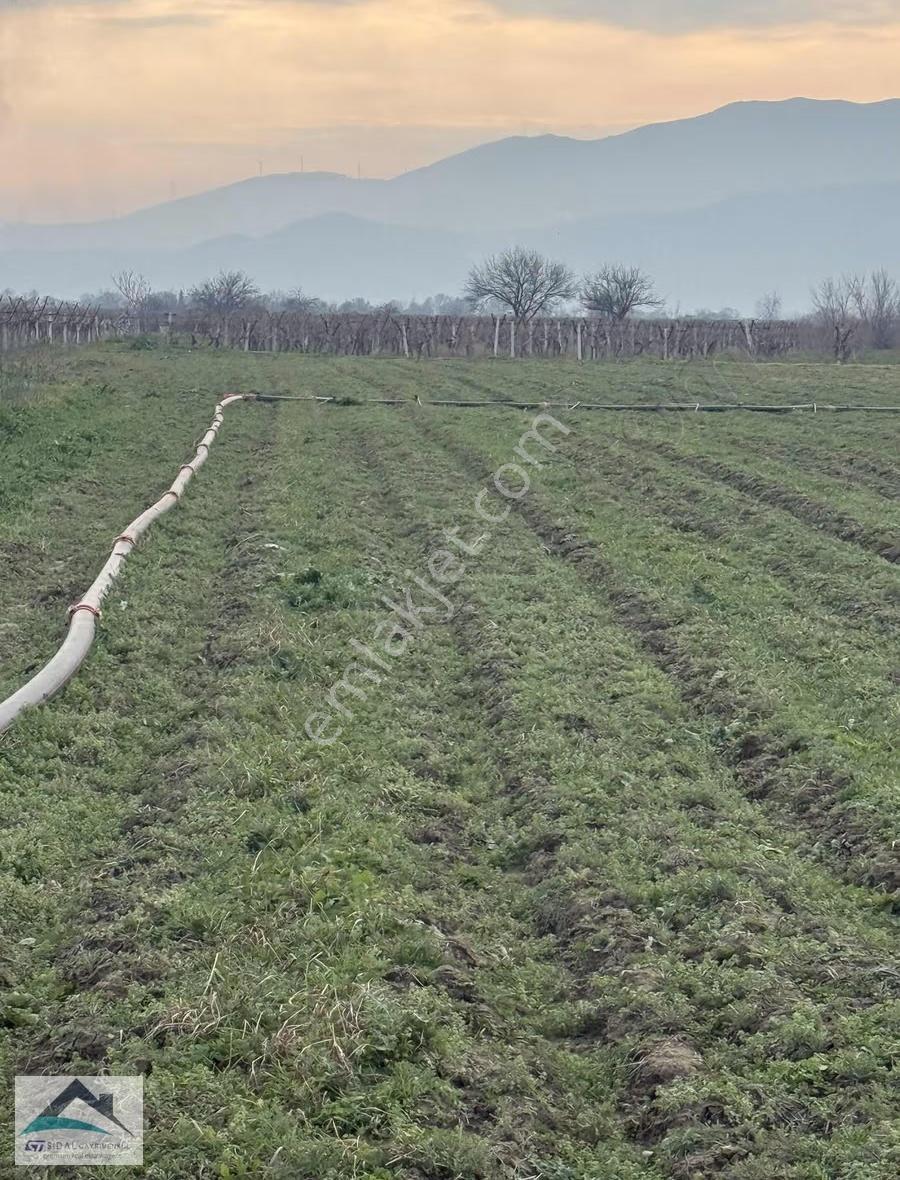 Sidal'dan Koldere Mh'de Verimli Topraklarda Satılık Tarla