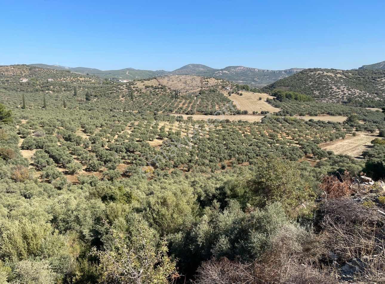 Denize 2 Km İmarlı 5000 M² Yatırıma Ve İnşaata Uygun Arsa - Görsel 6