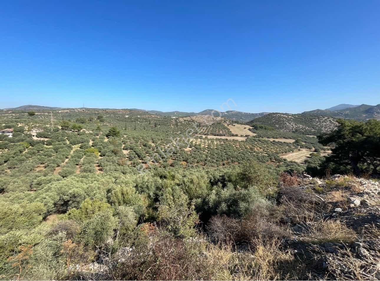 Denize 2 Km İmarlı 5000 M² Yatırıma Ve İnşaata Uygun Arsa - Görsel 3