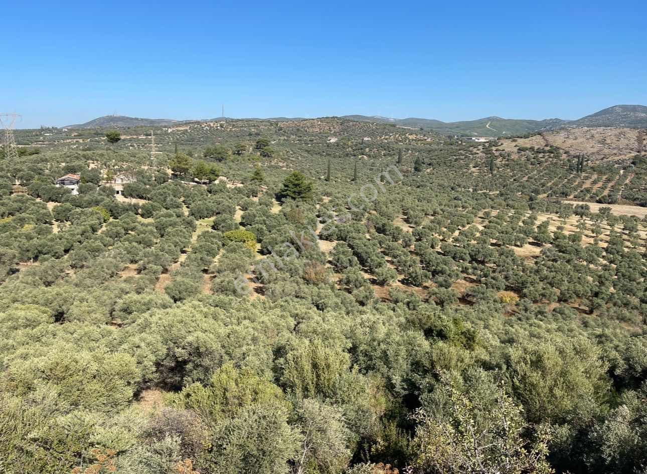 Denize 2 Km İmarlı 5000 M² Yatırıma Ve İnşaata Uygun Arsa - Görsel 7