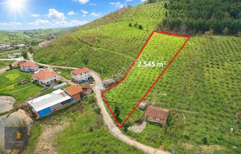 Karasu - Adapazarı Yolu Üzerinde 2545 M² Fırsat Fındık Bahçesi