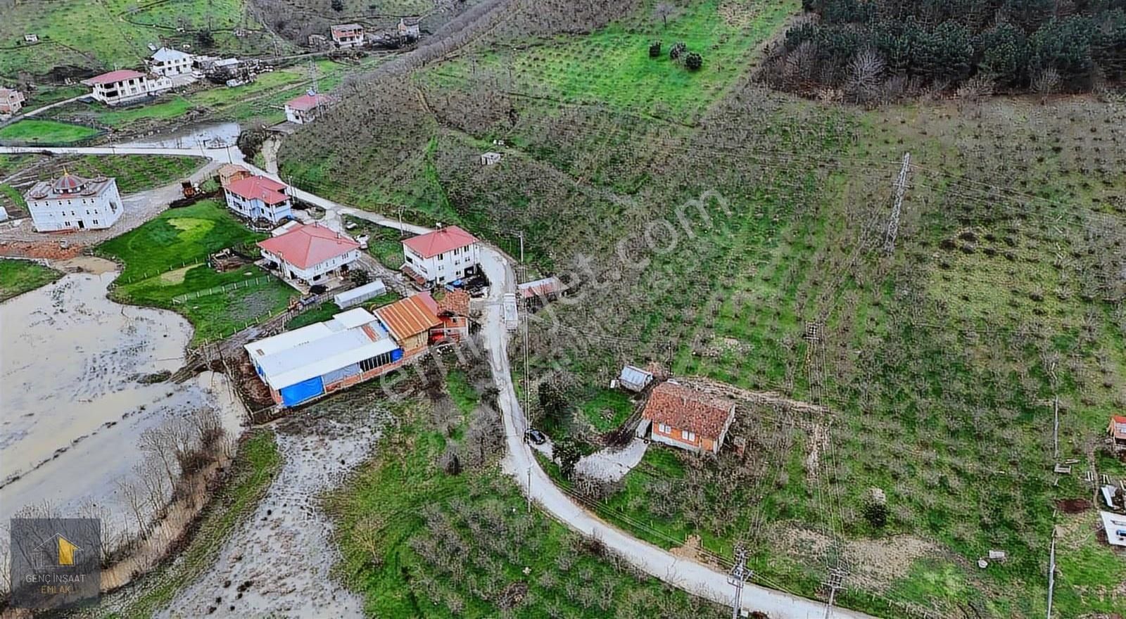 Karasu - Adapazarı Yolu Üzerinde 2545 M² Fırsat Fındık Bahçesi - Görsel 3