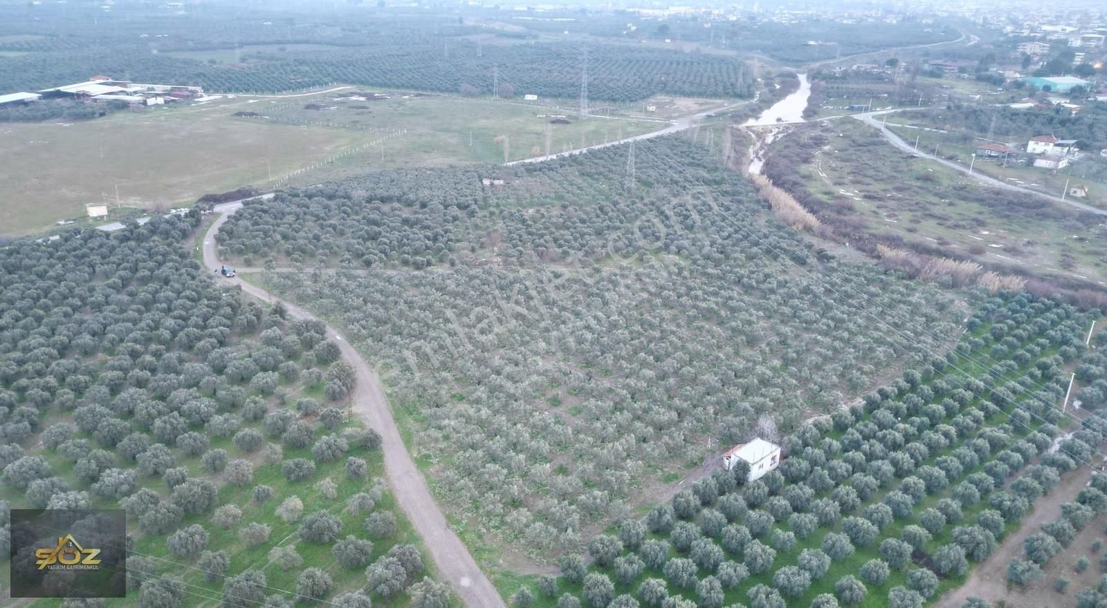 Seyitahmet Mh 11.712m2 Elektrik Su Mevcut İmara Yakın Zeytinlik - Görsel 2