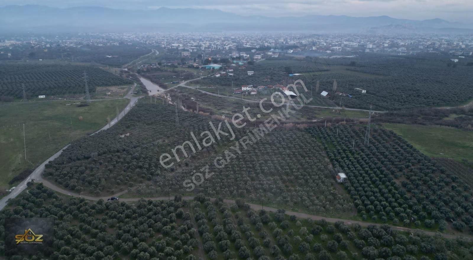 Seyitahmet Mh 11.712m2 Elektrik Su Mevcut İmara Yakın Zeytinlik - Görsel 6