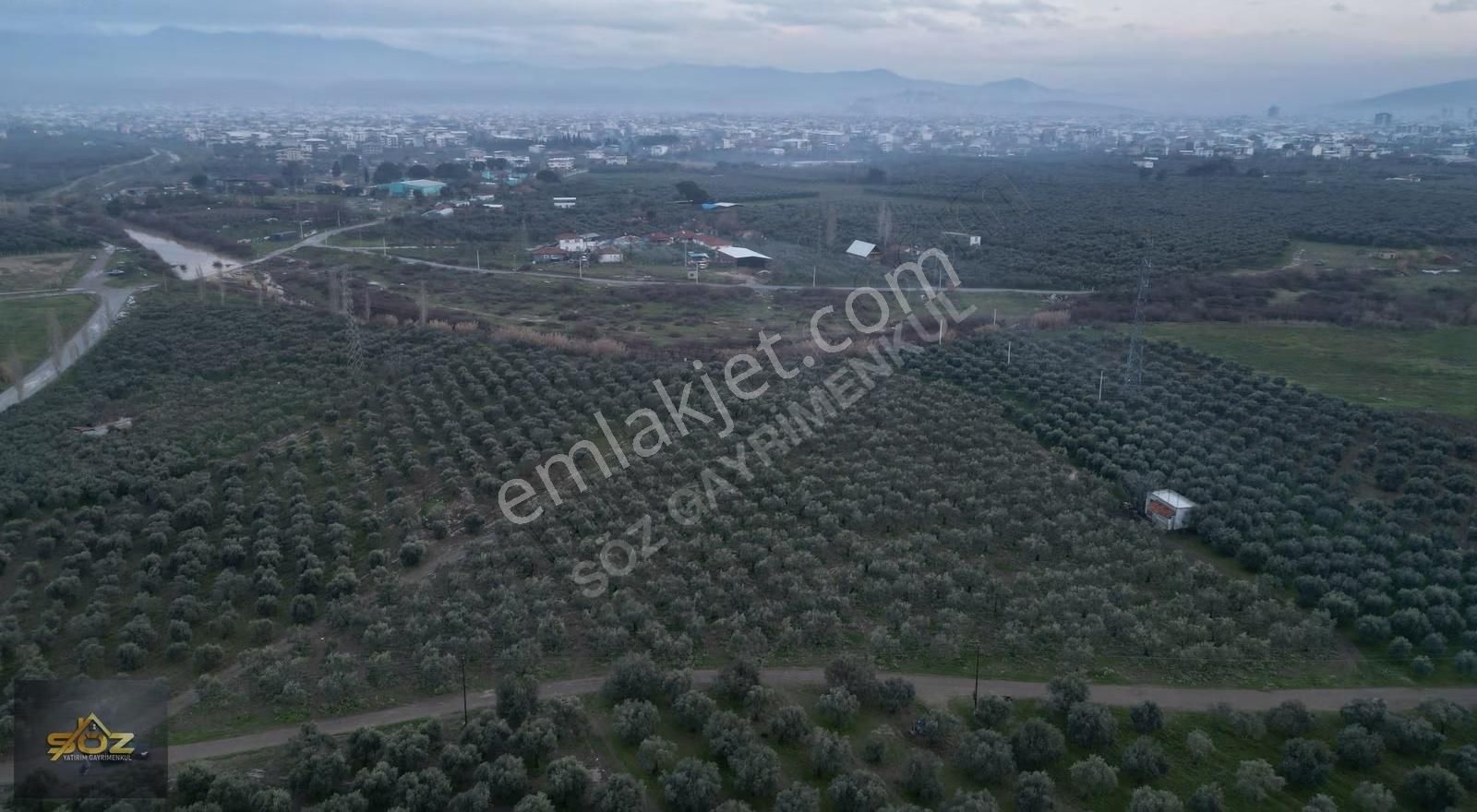 Seyitahmet Mh 11.712m2 Elektrik Su Mevcut İmara Yakın Zeytinlik - Görsel 5