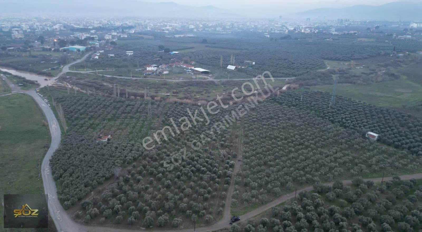 Seyitahmet Mh 11.712m2 Elektrik Su Mevcut İmara Yakın Zeytinlik - Görsel 4