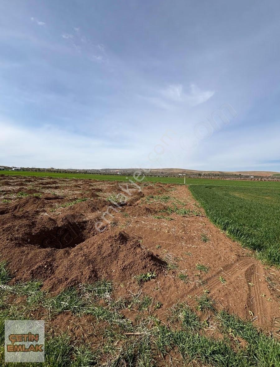 Çetin Emlak'tan Çimenli'de Yatırımlık Arazi. - Görsel 2