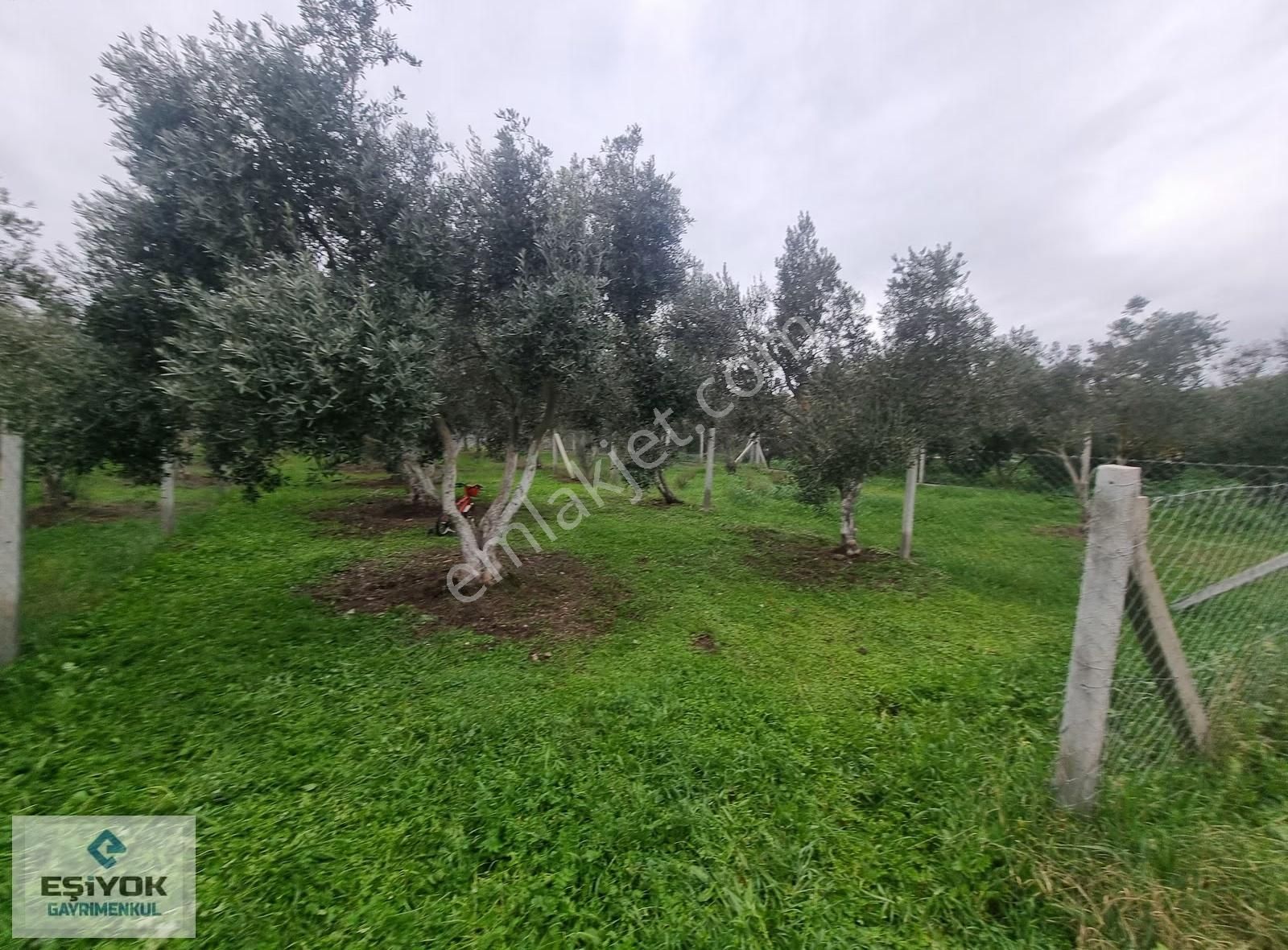 Araç Takası Olur Mirastan Bölme Tapuda Satış - Görsel 6