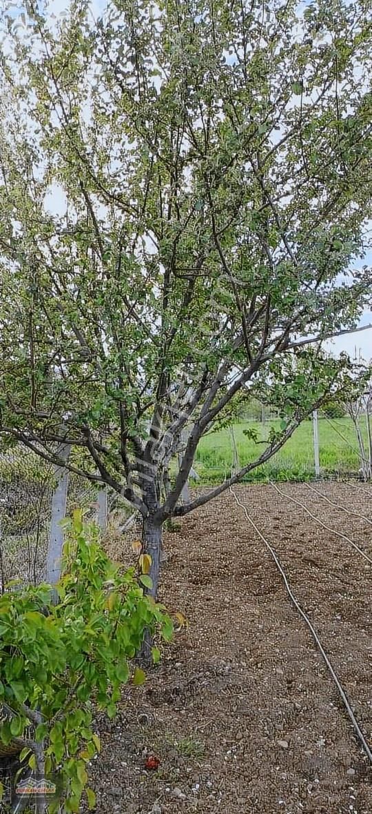 Gökçehüyük Yola Sıfır 2+1 Dubleks Bağ Evi Furkan Emlak - Görsel 13