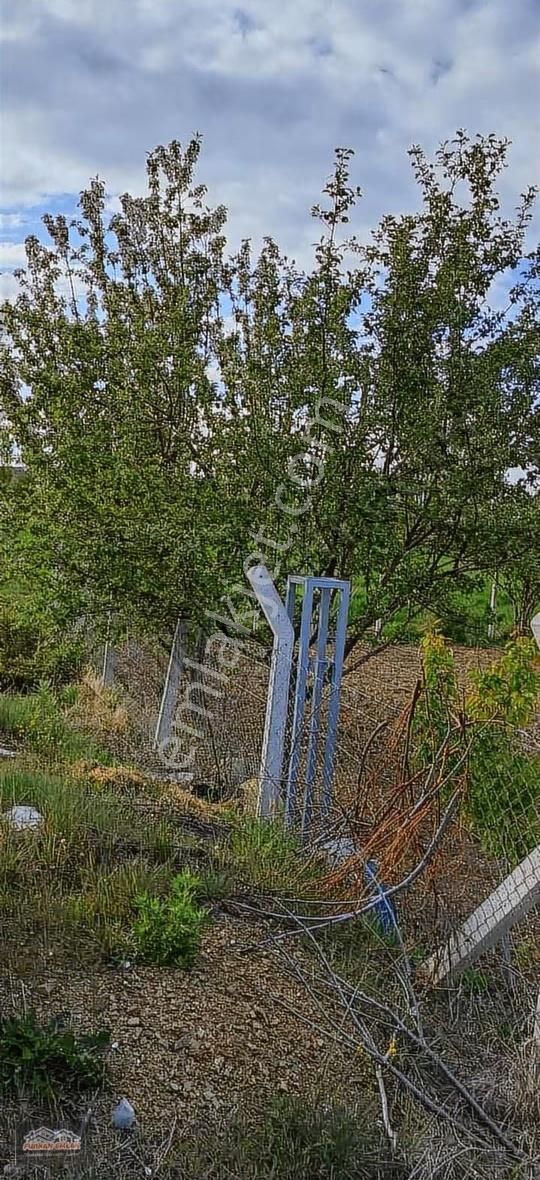 Gökçehüyük Yola Sıfır 2+1 Dubleks Bağ Evi Furkan Emlak - Görsel 5