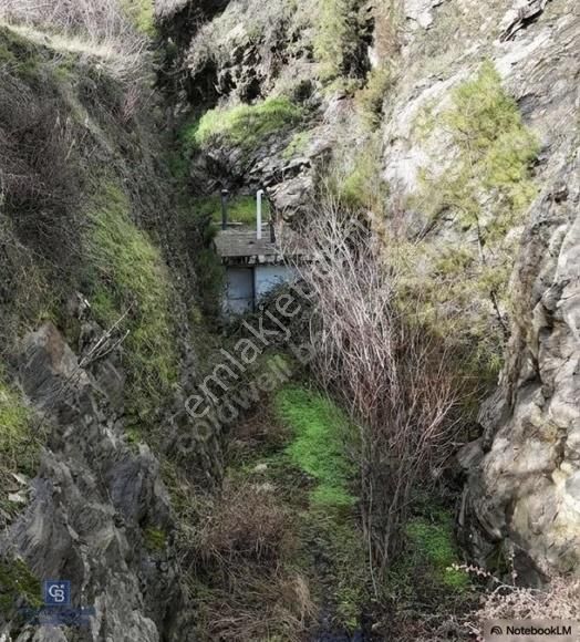 Milas Olukbaşı'nda Satılık Tarla