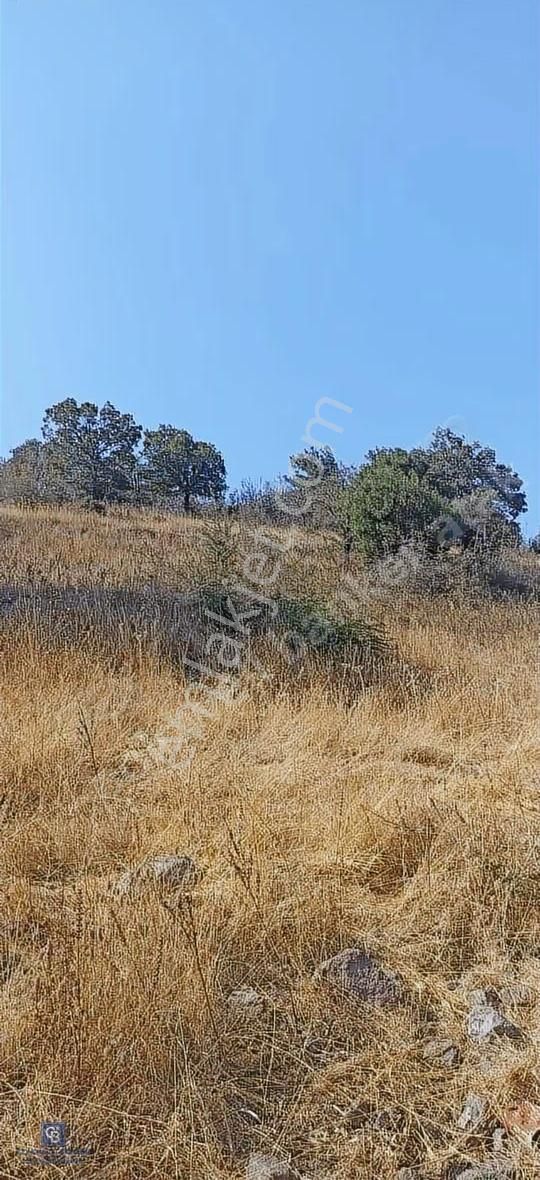 Bergama Merkeze Yakin Baraja Cephe 26,5 Donum Arazi - Görsel 8
