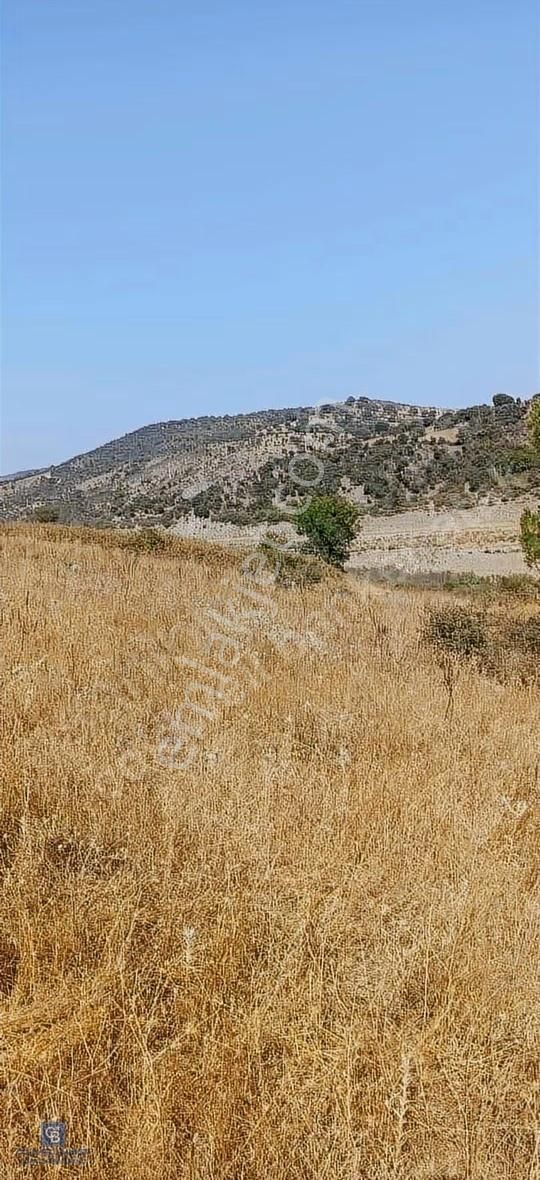 Bergama Merkeze Yakin Baraja Cephe 26,5 Donum Arazi - Görsel 4