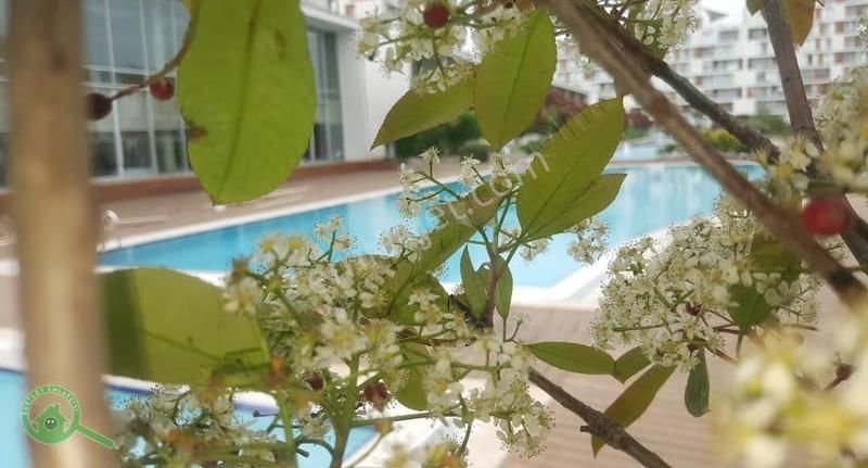 Pendik Yenişehir Konsept İstanbul Kurtköy'de Satılık 3+1 Daire - Görsel 3