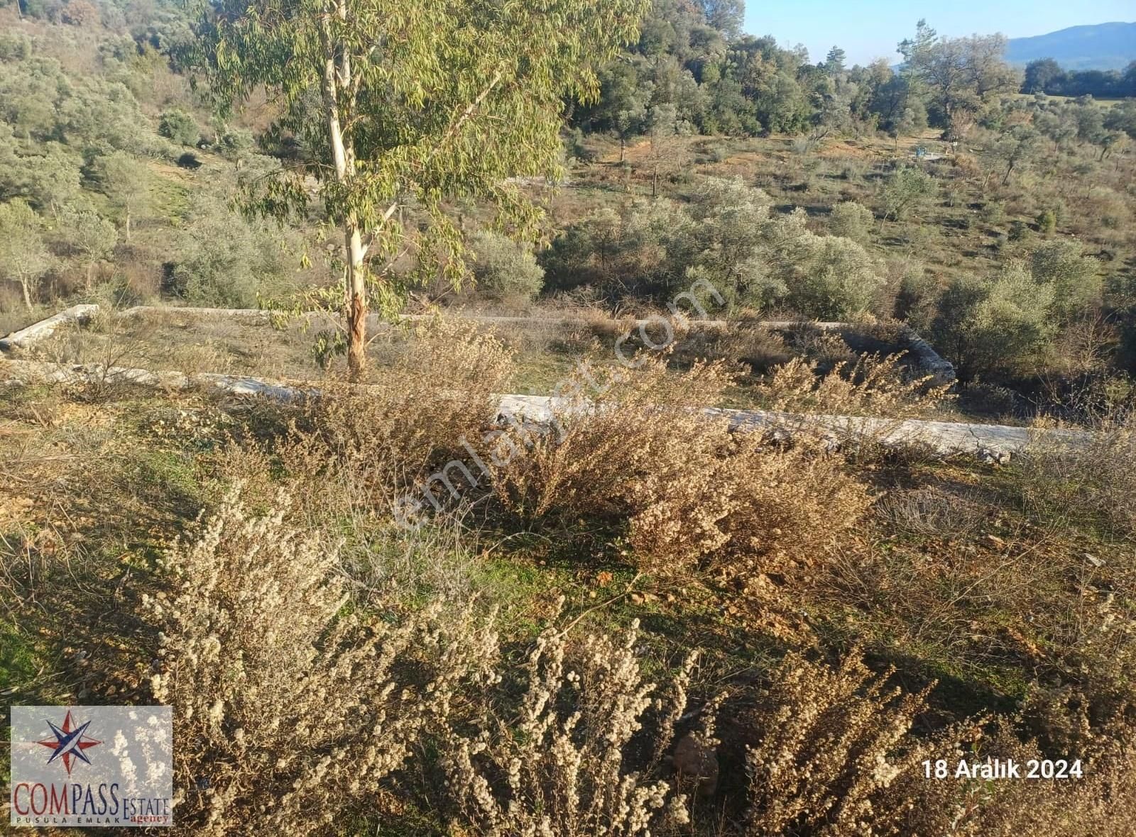 Ula Esentepe Satılık 1015 M2 Tarla